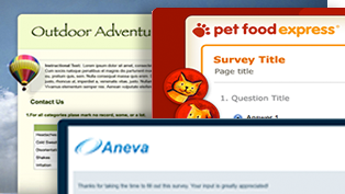Customized Survey themes with your own brand and layout