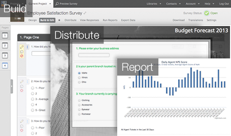 Expert Survey Management. Full survey builds maintenance reports and branding.